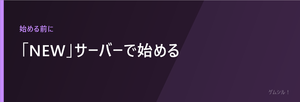 NEWサーバーで始める